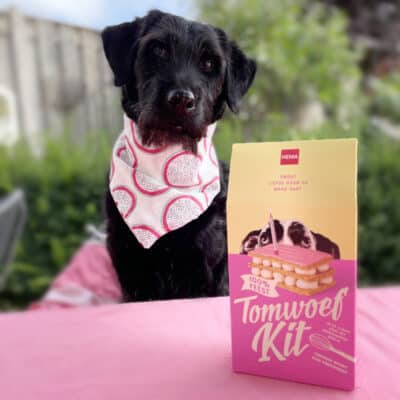 Tomwoef Kit, de Hema tompouce speciaal voor honden